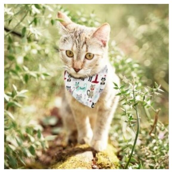 NEW Create It Fat Quarter 18"x21" Cotton Playful Cats Precut Fabric MD-G-PC890 - Picture 6 of 9